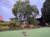 314656E7-C248-477C-8F66-527C59FD61AB.jpeg