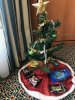 IMG_0873.jpg