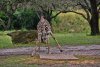 DSC_9362.JPG