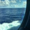 IMG_0900.jpeg