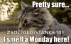 8A05301C-1378-432B-B0E7-890CEB822303.gif