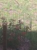 IMG_20200705_110022563.jpg