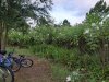 20200714_065347.jpg