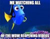 dory.jpg