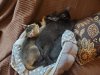 20200715_212551.jpg