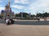 WDW Hub.JPG