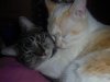DSC04933.JPG