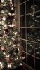 IMG_4517.PNG