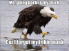511183