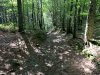 80E11200-641D-441F-AA28-07BF0EA056A6.jpeg