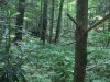 2A163051-BAF1-41D1-B7FC-887768615BC5.jpeg