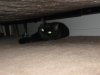 We have a Monster under the bed 10-3-13.JPG
