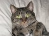Dio close up 12-28-12.JPG