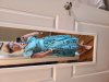 20200721_162625.jpg
