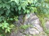 0BD39FAE-6C51-49D3-9D1C-57BE664209DD.jpeg