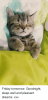 41B2E227-B6F6-4C45-827A-DE9B7FBF3098.png