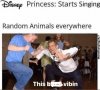 513237