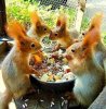 FB_IMG_15957122828281.jpg
