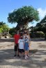 662792997_1106241909_dsnyRes-medium_dsnyLoc-reg.jpeg