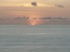 20200730_064313.jpg