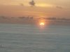 20200730_064433.jpg