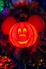BB837781-BAD9-4568-93BF-1D7461613D56.jpeg