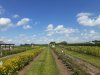 20200802_160818.jpg