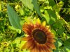20200802_161448.jpg