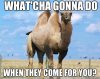 525C1F68-6091-4857-A451-EC65C2DC22B6.jpeg