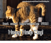 B95294ED-31B0-4560-958A-C64386AED56A.png