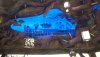 splash mtn shop.jpg