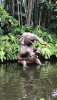 D498B35D-1566-4657-8BB9-2C0D90A9DB66.png