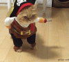 58026B63-D64E-446A-8D80-B6036C10768B.gif