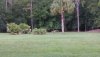20200813_200347.jpg