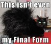 7E0B63F4-1847-423F-9F19-8DA0BB548B2A.jpeg