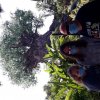 20200727_100733.jpg