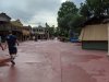 IMG_20200818_181829.jpg