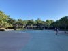 951DA742-1B9A-4D0B-89AE-851ACD09E8F5.jpeg