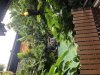D7F8E810-7242-4400-9F87-00EDF5D85E03.jpeg