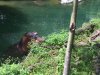 5C049C67-5DF8-4ABF-812E-7B2EE29F72D7.jpeg