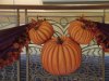 IMG_3370.JPG