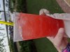 MVIMG_20200821_185219.jpg