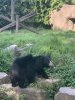 F9E989E8-817B-4B68-9628-D9EE0E68759A.jpeg
