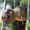 USF (82).jpg