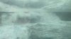 169CCA69-80C8-4D34-BE90-DF2E8E6A2C99.jpeg