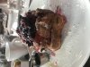 403903F8-EDD9-44F2-A226-F36993DED40B.jpeg