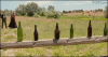 bottles.gif