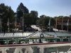 IMG_5254.JPG