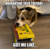 A4125D3F-5C07-4ADA-A0E0-6752E134A6DF.png