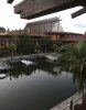 F1D4F11B-791F-4450-B93C-C3A4A2829943.jpeg